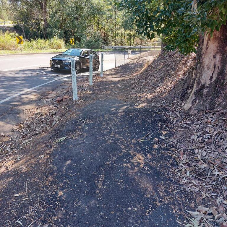 Read more about the article YANDINA’S FOOTPATHS
