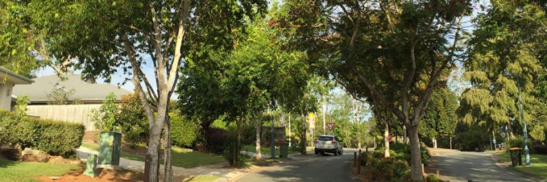 Read more about the article STREET TREE MASTER PLAN – HAVE YOUR SAY